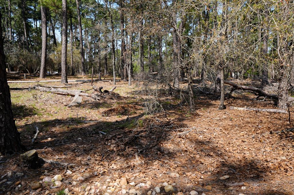1001 Stephen Lane, La Grange, Texas image 15