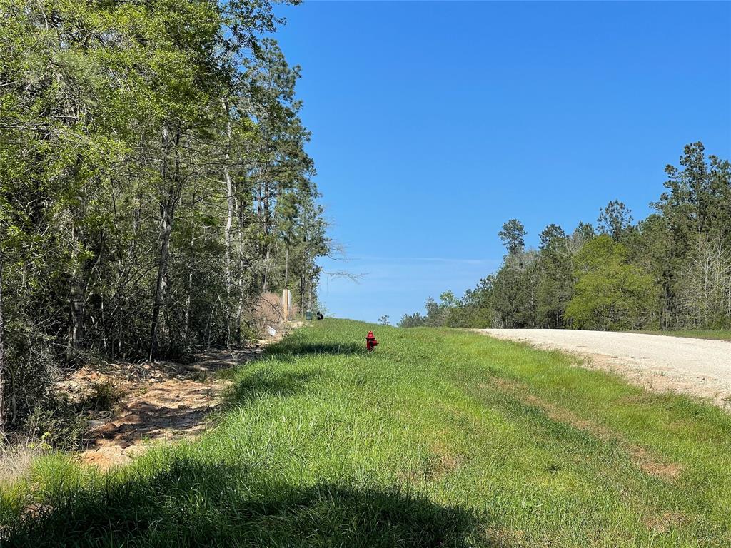 319 Exploration Road, New Waverly, Texas image 7