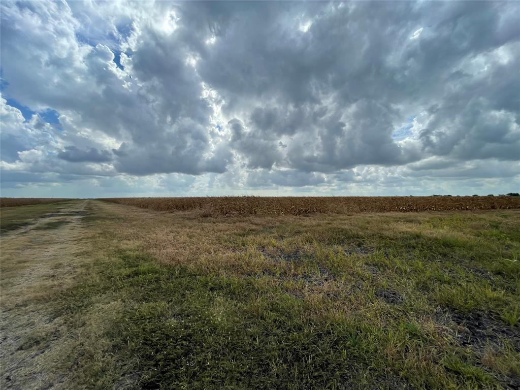 Hwy 87, Port Lavaca, Texas image 4