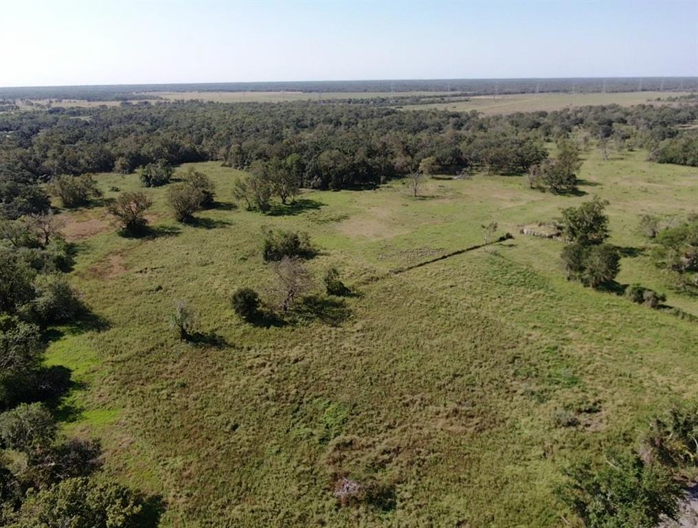 W Pleasant Street, Brazoria, Texas image 3