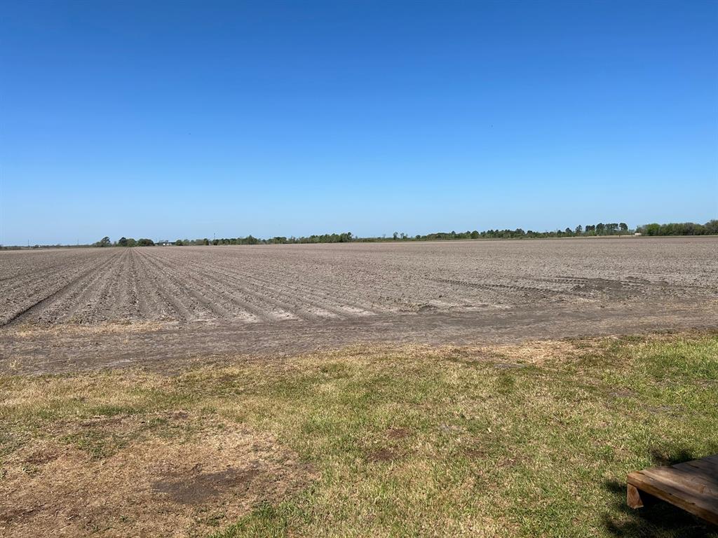1615 Long Lane Road, Orchard, Texas image 13