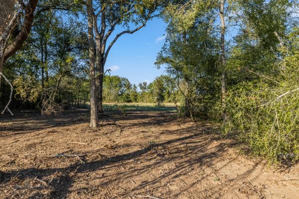 TBD Drake Lane-lot 9, Round Top, Texas image 3