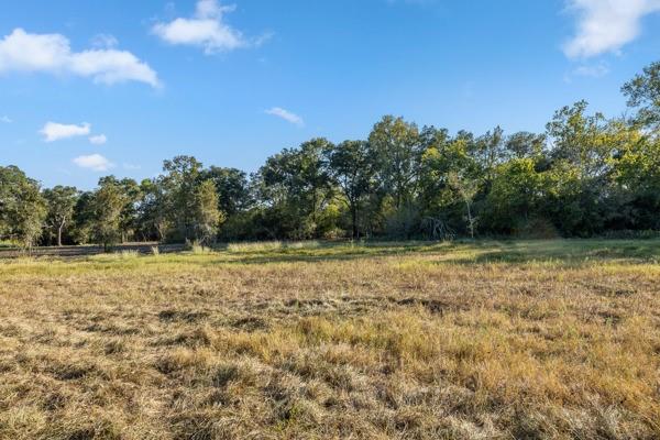 TBD Drake Lane-lot 9, Round Top, Texas image 4