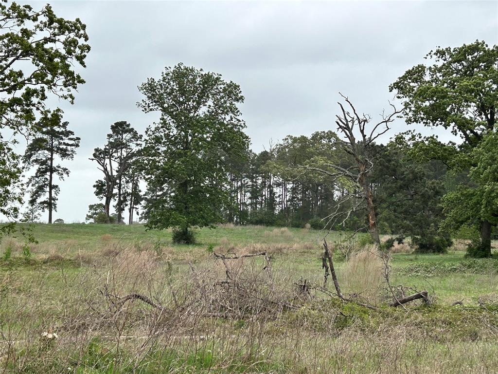 TBD Overhill Court, Hillister, Texas image 3