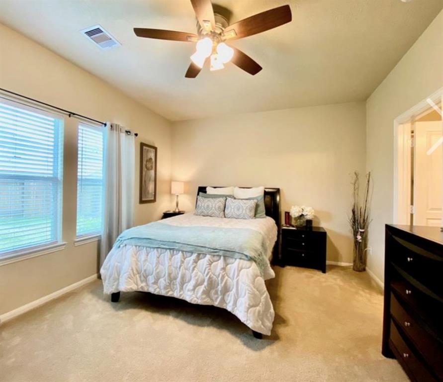 7 Garden Springs Bypass, Manvel, Texas image 16