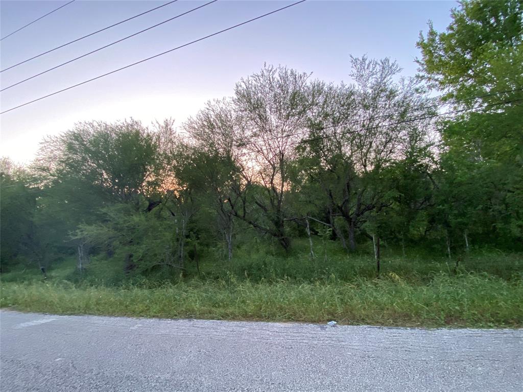 Columbus Road, Wallis, Texas image 3