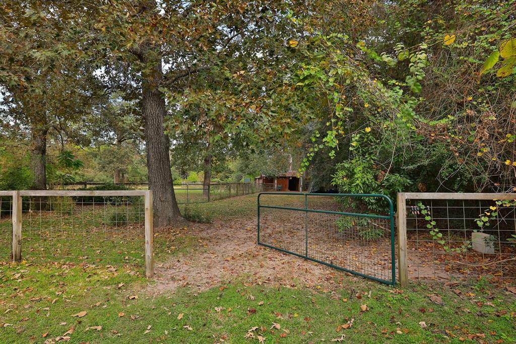 610 Tall Pines Drive, Magnolia, Texas image 1