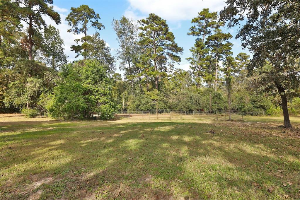 610 Tall Pines Drive, Magnolia, Texas image 30