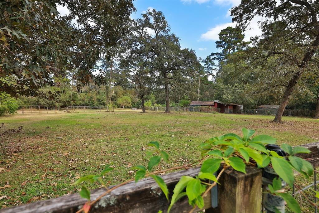 610 Tall Pines Drive, Magnolia, Texas image 29