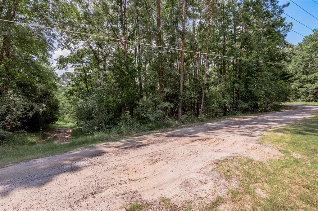 Lot 66 Hidden Lane, Trinity, Texas image 11