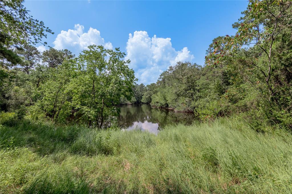 Lot 66 Hidden Lane, Trinity, Texas image 2