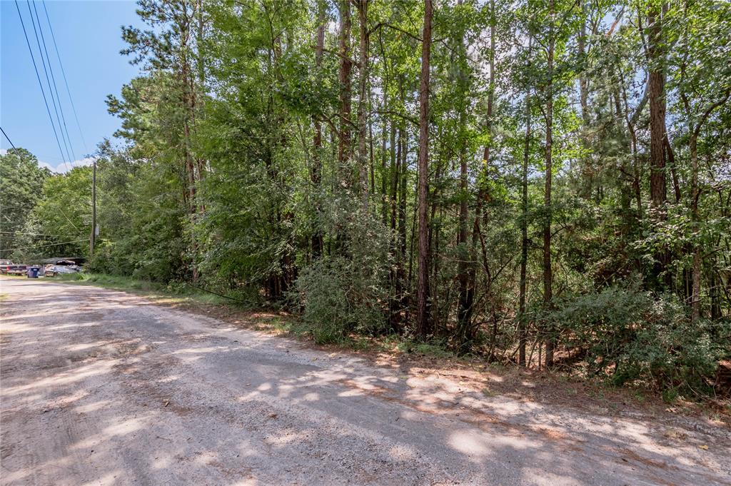 Lot 66 Hidden Lane, Trinity, Texas image 12