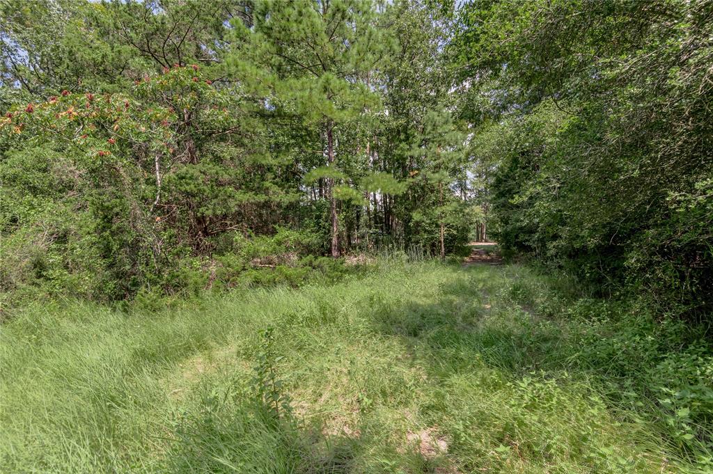 Lot 66 Hidden Lane, Trinity, Texas image 7