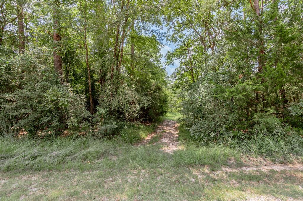 Lot 66 Hidden Lane, Trinity, Texas image 4