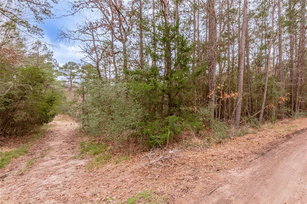 Lot 66 Hidden Lane, Trinity, Texas image 25