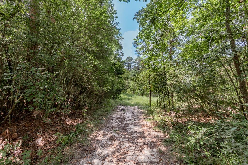 Lot 66 Hidden Lane, Trinity, Texas image 10