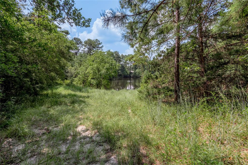 Lot 66 Hidden Lane, Trinity, Texas image 5