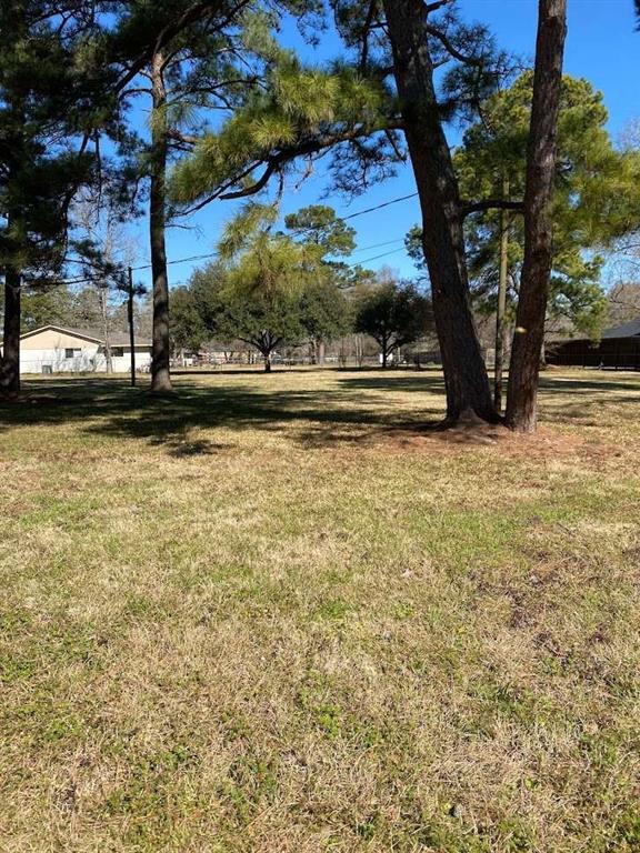 30714 Meadow Wood Lot 66 Drive, Magnolia, Texas image 1