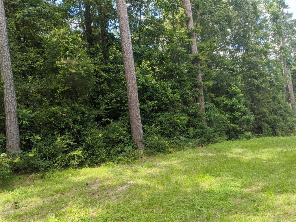 Lot 13 Moose Drive, Onalaska, Texas image 22