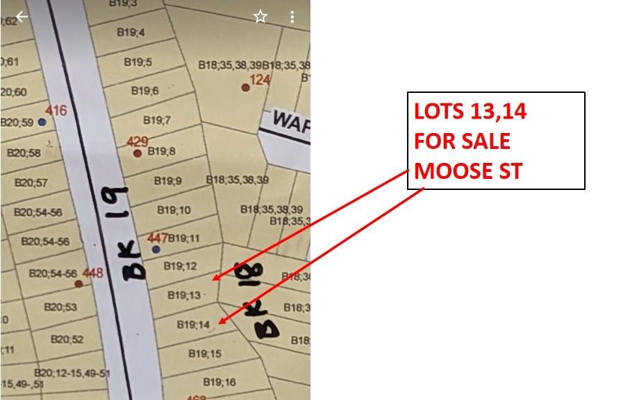 Lot 13 Moose Drive, Onalaska, Texas image 30
