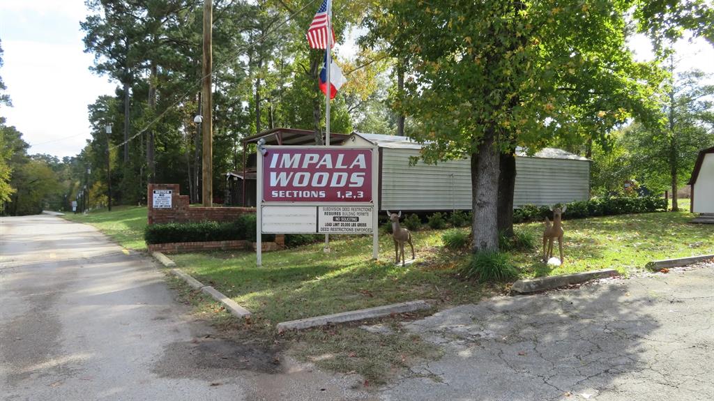 Lot 13 Moose Drive, Onalaska, Texas image 1