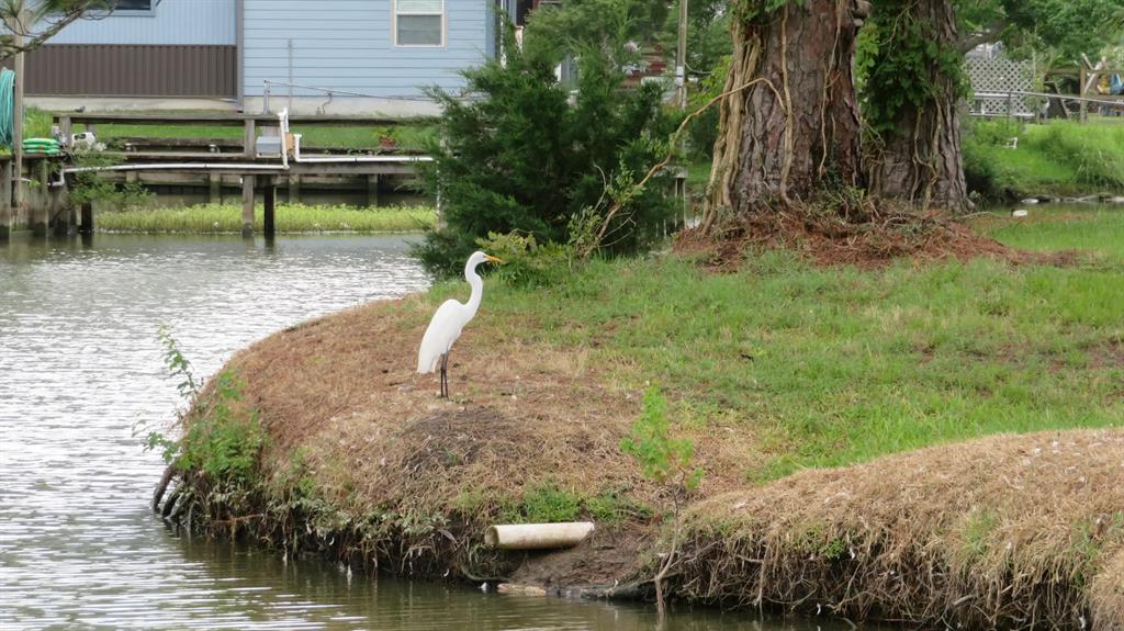 Lot 13 Moose Drive, Onalaska, Texas image 18