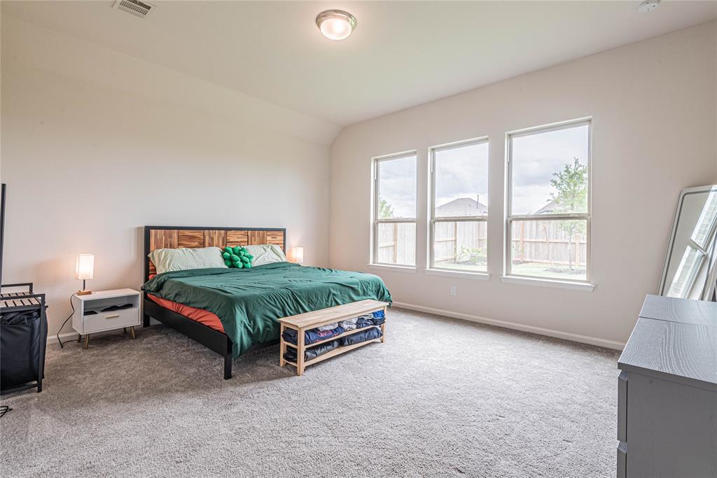 9002 Caribou Court Court, Manvel, Texas image 26