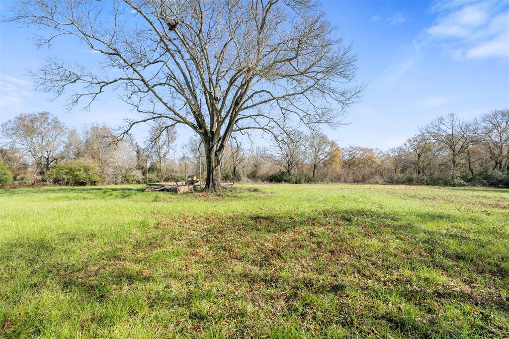 642 Andrews Street, Sealy, Texas image 8