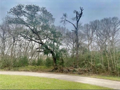 Photo of 1232 Chuckwagon Court, Angleton, TX 77515 (MLS # 74509078)