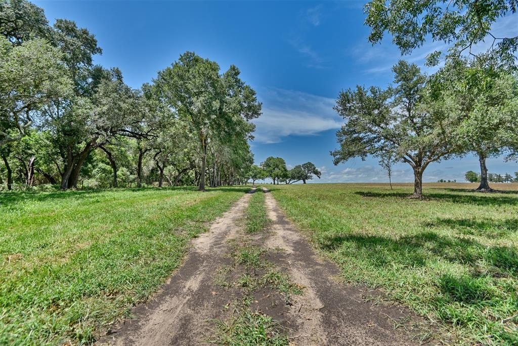 2021 Fm 2144 Rd, Weimar, Texas image 9