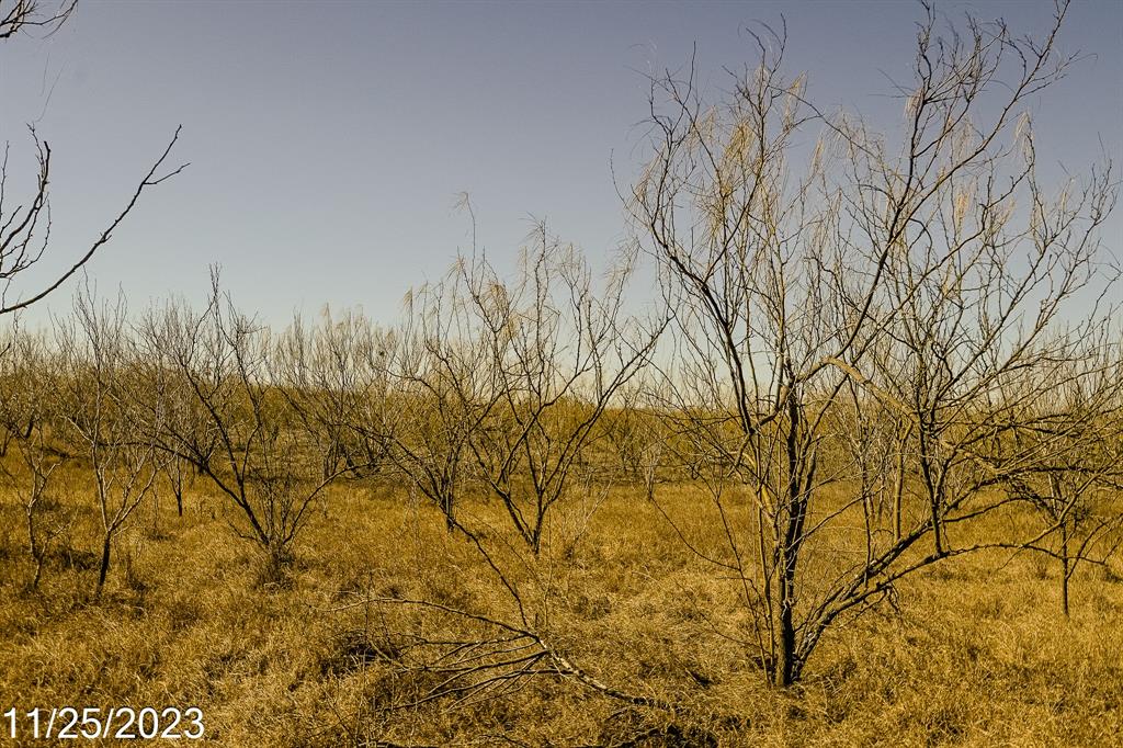 000 W Hy 85, Dilley, Texas image 25