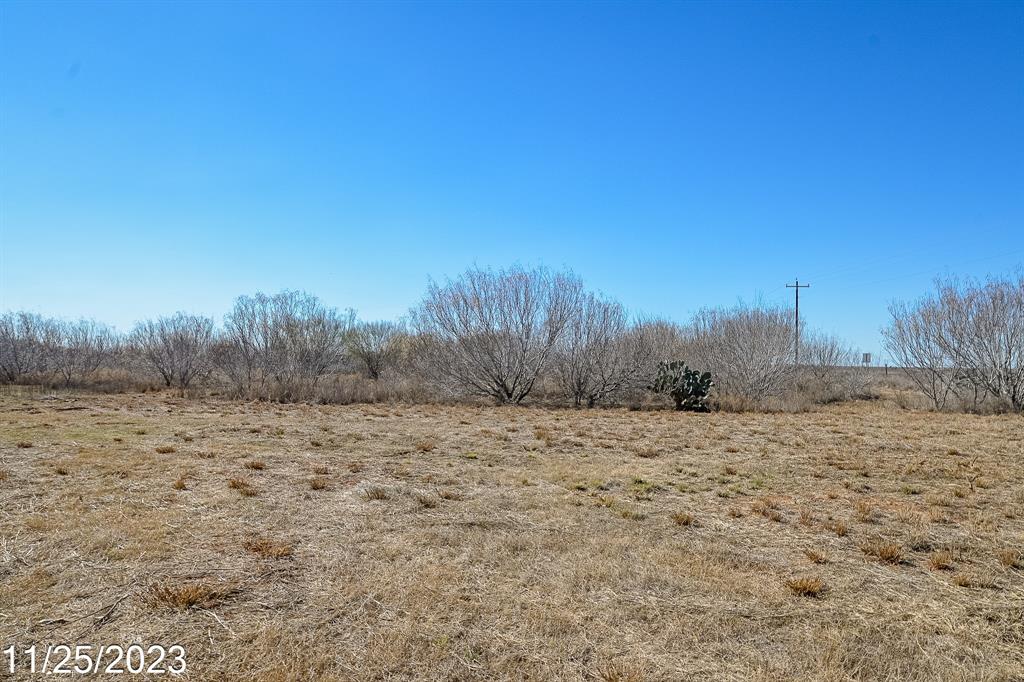 000 W Hy 85, Dilley, Texas image 4