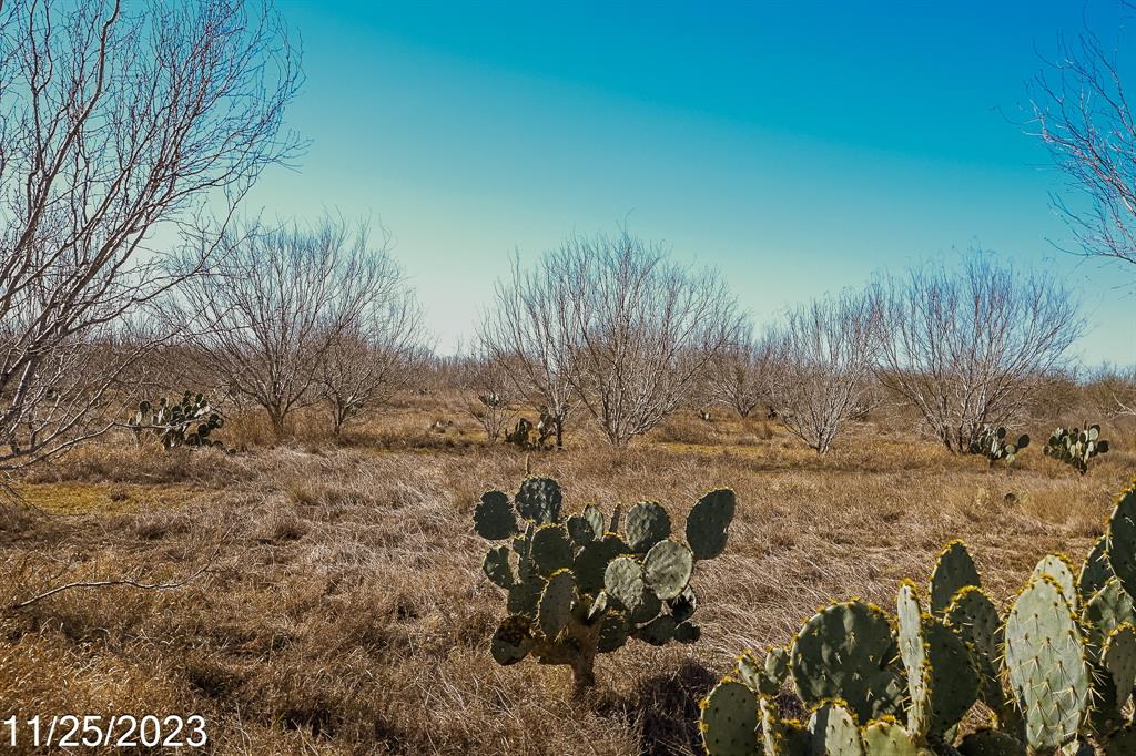 000 W Hy 85, Dilley, Texas image 18