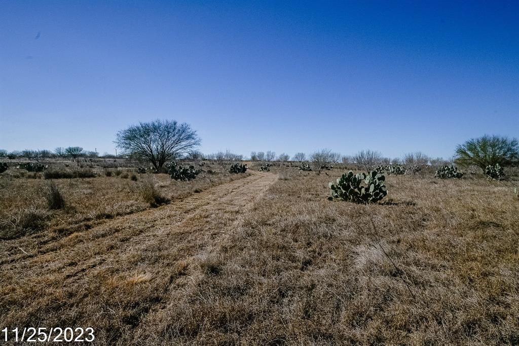 000 W Hy 85, Dilley, Texas image 13