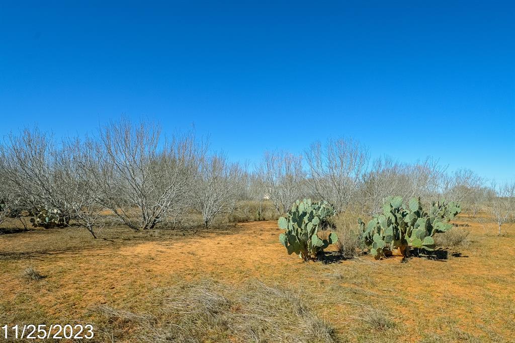 000 W Hy 85, Dilley, Texas image 12