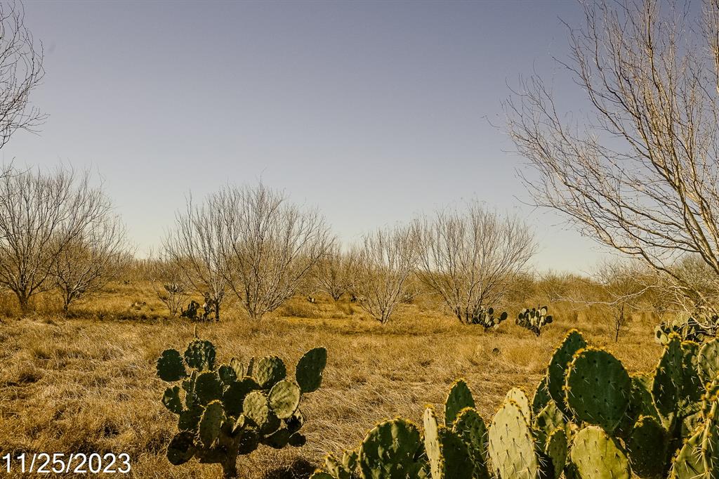 000 W Hy 85, Dilley, Texas image 19