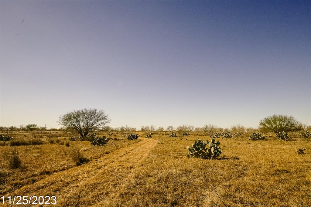 000 W Hy 85, Dilley, Texas image 15