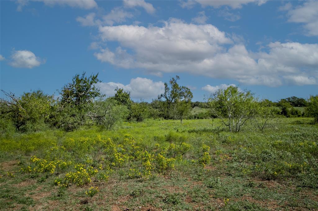 Tract 3 County Road 328, Caldwell, Texas image 24