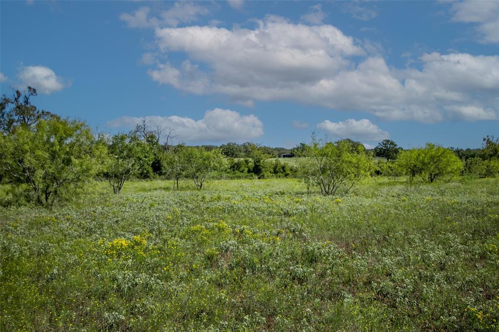 Tract 3 County Road 328, Caldwell, Texas image 26