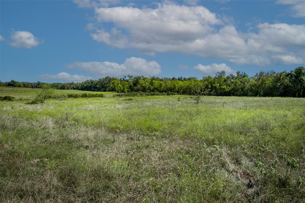 Tract 3 County Road 328, Caldwell, Texas image 9