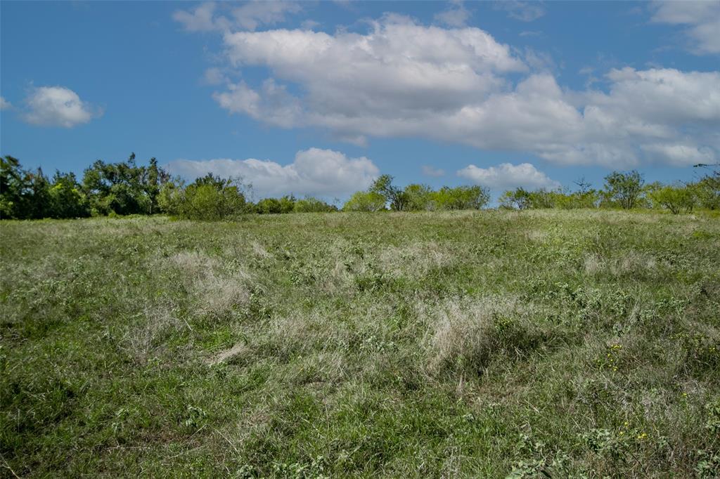 Tract 3 County Road 328, Caldwell, Texas image 8