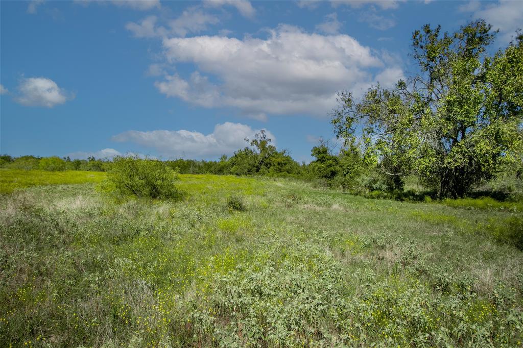 Tract 3 County Road 328, Caldwell, Texas image 17