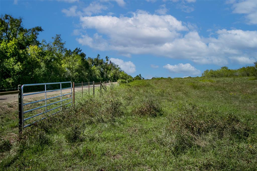 Tract 3 County Road 328, Caldwell, Texas image 6