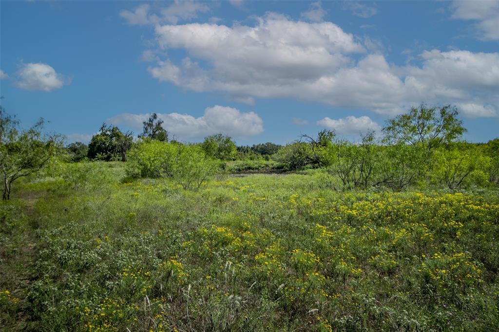 Tract 3 County Road 328, Caldwell, Texas image 23