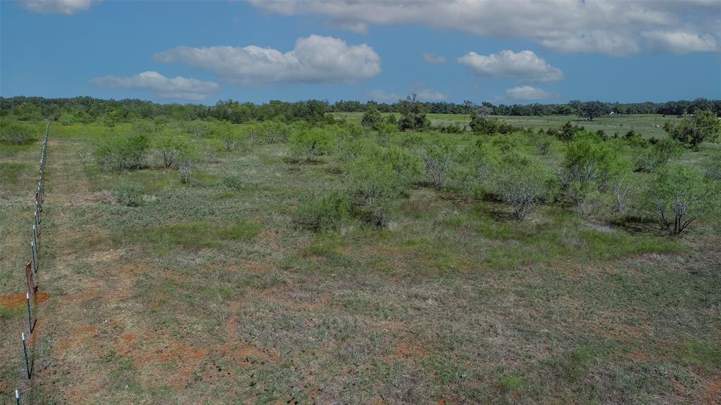 Tract 3 County Road 328, Caldwell, Texas image 15