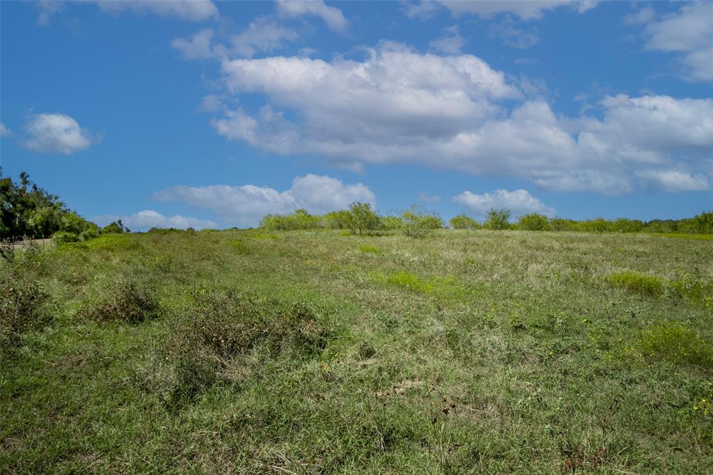 Tract 3 County Road 328, Caldwell, Texas image 10