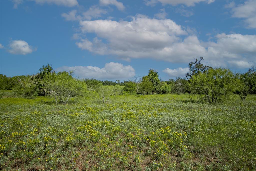 Tract 3 County Road 328, Caldwell, Texas image 25