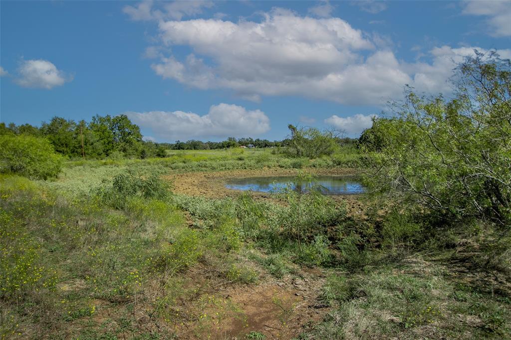 Tract 3 County Road 328, Caldwell, Texas image 11