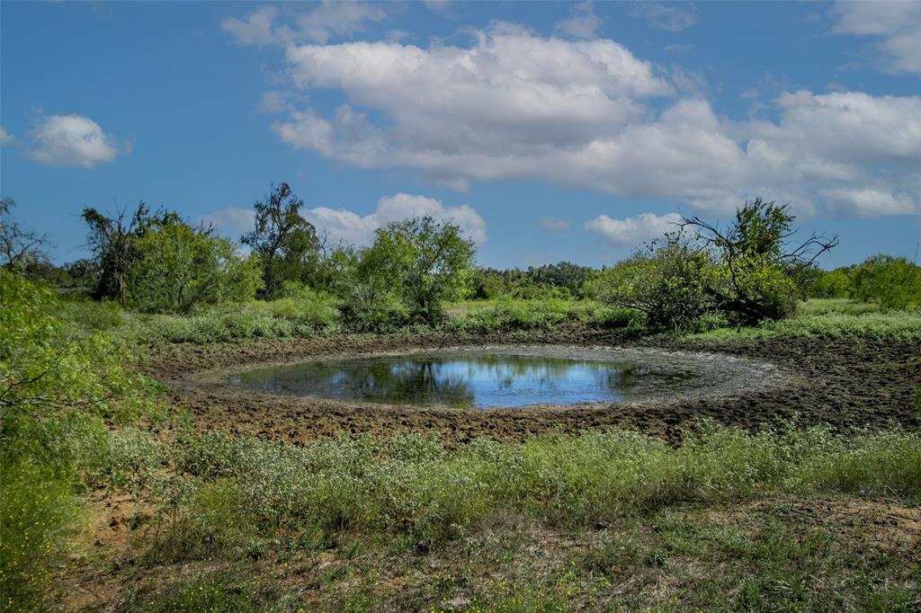 Tract 3 County Road 328, Caldwell, Texas image 13