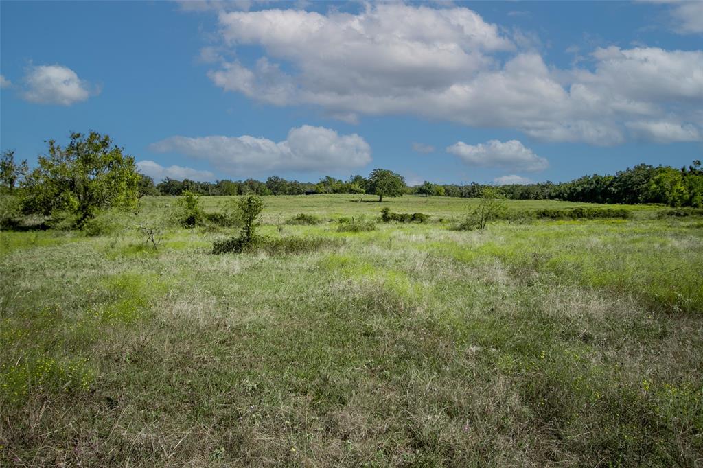 Tract 3 County Road 328, Caldwell, Texas image 18